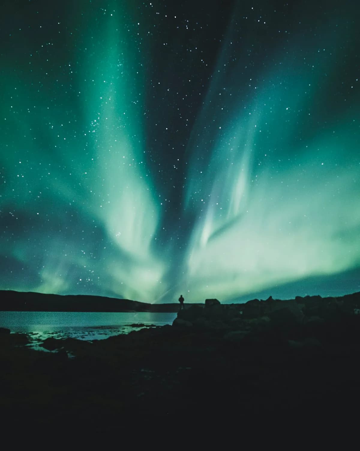ARCTIC LAPLAND